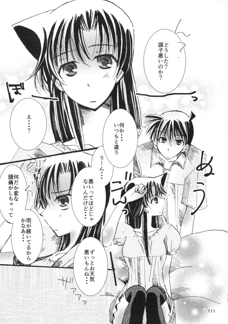 MACARON-CHOCOLAT-DOLCE