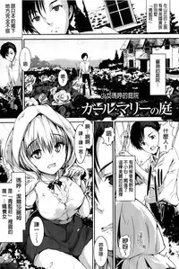 [Maruwa Tarou] Shoujo Mysterica [Chinese]