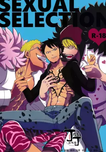 (Circle Halloween Festa)[cherry*blossom (Yuunagi)]SEXUAL SELECTION (One Piece)[Chinese] [丁丁炸裂汉化组]
