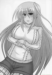 [Shonnakado (Mitsurugi Ken)] Ainsu (Mahou Shoujo Lyrical Nanoha)