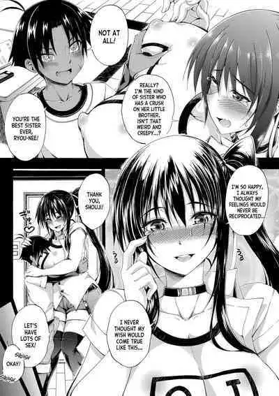 Doppel wa Onee-chan to H Shitai!