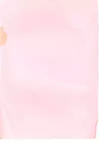 [Manno Rikyuu] Cutie Pet