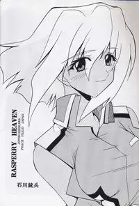 [St. Rio (Kitty, Ishikawa Ippei)] COSMIC BREED 4 (Gundam SEED DESTINY)