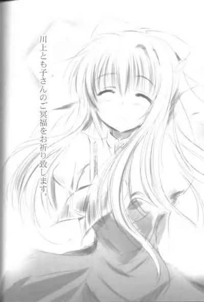 (C80) [SONIC WINTER (Tsukishima Kai)] VISION Fifteen (Rewrite)