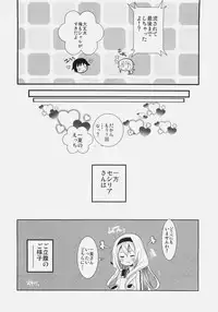 (COMIC1☆5) [47sp, SSB (Takashina@Masato, Maririn)] ichica to (IS <Infinite Stratos>)