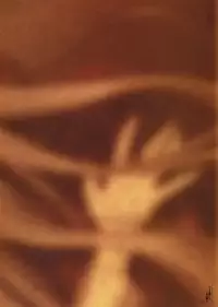 [CARNELIAN] Yami to Boushi to Hon no Tabibito Visual Fanbook