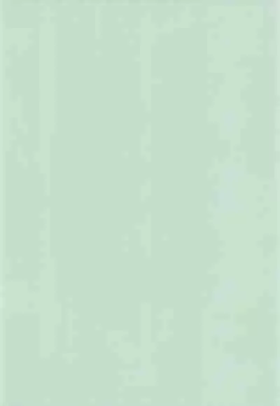 [Wild Coconuts (Sumi Ryuuichi)] Eiko Ganbaru! (Final Fantasy IX)