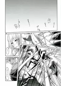 (SC32) [Fujiya Honten (Thomas)] CHRONICLE (Ragnarok Online)