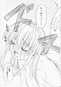 (C65) [LUNATIC WINGS (Shizaki Masayuki)] Hot Limit (Dead or Alive)