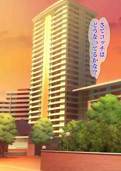 Hitozuma o Sennou Shite Haramase Netoru Hanashi