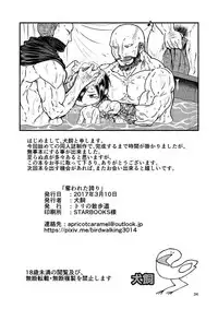 [Tori no Sanpomichi (Inukai)] Ubawareta Hokori (Dragon's Dogma) [Digital]