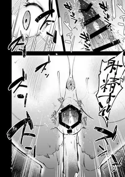 [K☆H (KH)] CLAIR ANOTHER (Fire Emblem Echoes: Shadows of Valentia) [Digital]