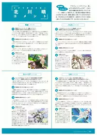 Walkure Romanze Visual Fan Book