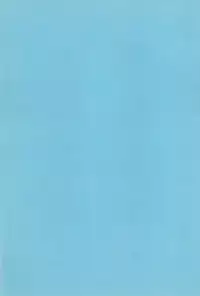 (C60) [Akadama-ya (Akaou)] Junjou Pineapple (Digimon Tamers)