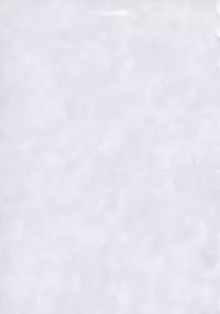 canaria (Garou MOV and Others)