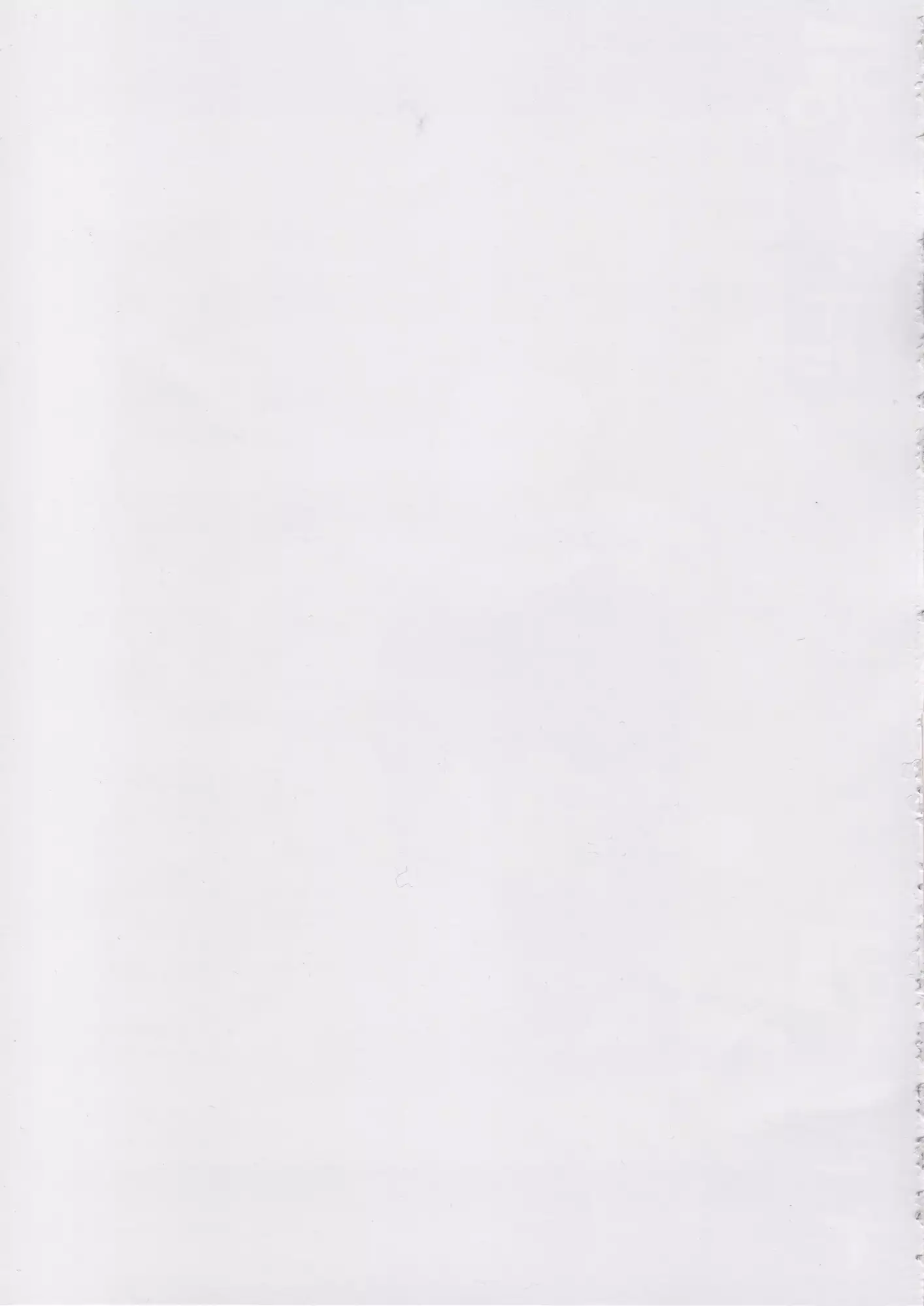 Inaba na Ohime 이나바 공주님