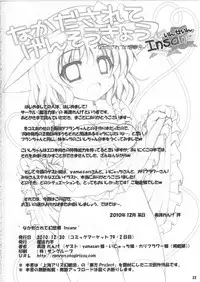 (C79) [Mahou Rikigaku (Miwatari Renge)] Nakadasarete Gensoukyou Insane (Touhou Project)