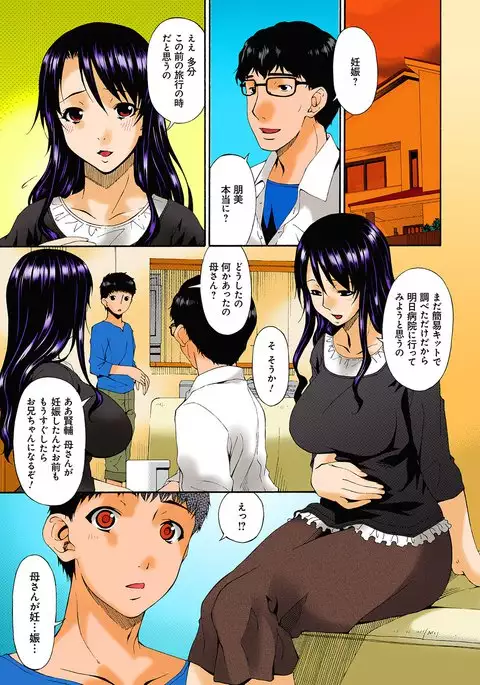 Hametorare full color