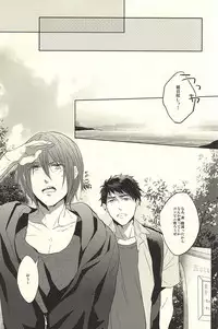 (C88) [Giselle (Rinkoyo)] Subete o ○○ no Sei ni Shite (Free!)