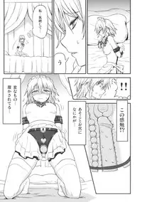 (C85) [Sumeragi Designs (Sumeragi Seisuke)] D4C continue (Touhou Project)