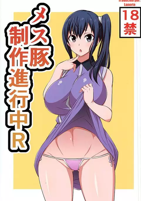 Mesu Buta Seisaku Shinkouchuu R