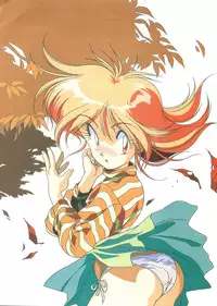 (C48) [Henreikai (Kawarajima Koh, Tayama Mamito)] Custom Sweet