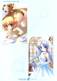 Tsunagaru Bangle - Visual Fan Book