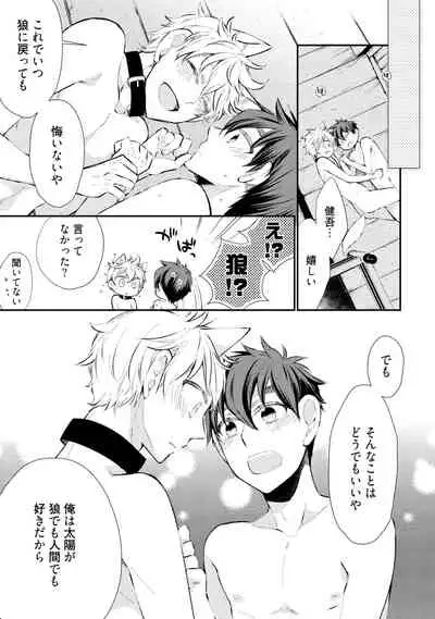 Wolves and Erotic Things