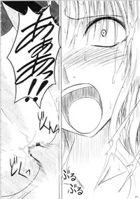 [Crimson Comics (Carmine)] Sephiria Hard Soushuuhen (Black Cat)