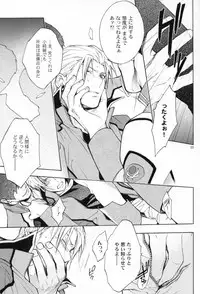 (C70) [UltimatePowers (RURU)] OVER DOSER 4 (Gundam SEED, Gundam SEED DESTINY)