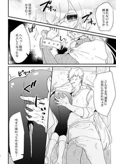 Tsumahajiki-mono no Somnia 5