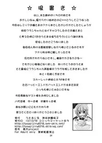 [Usagijiru (Kamiya Karin Sakurako)] Ozeusama to asobou (Touhou Project) [Digital]