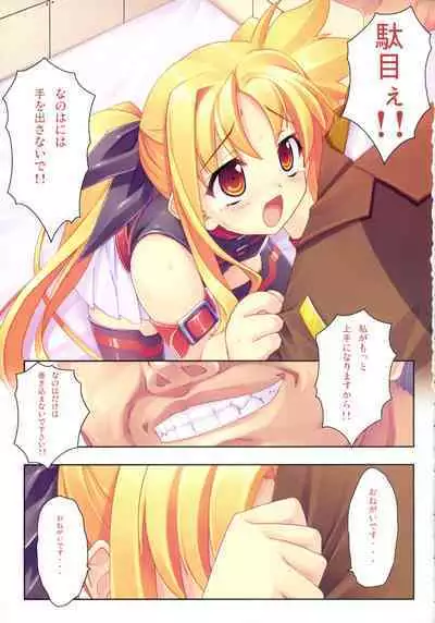 Kanzen Choukyou Fate Shiki