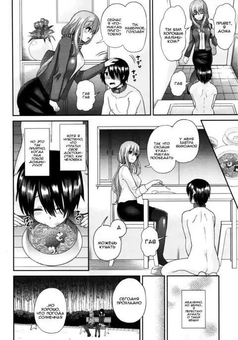 Domestic Dog | Домашняя Собаука