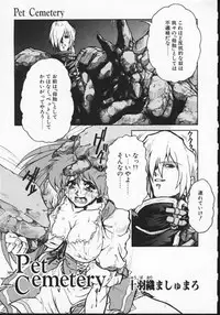 Masyumaro Jyubaori - Pet Cemetry (Viper V16)