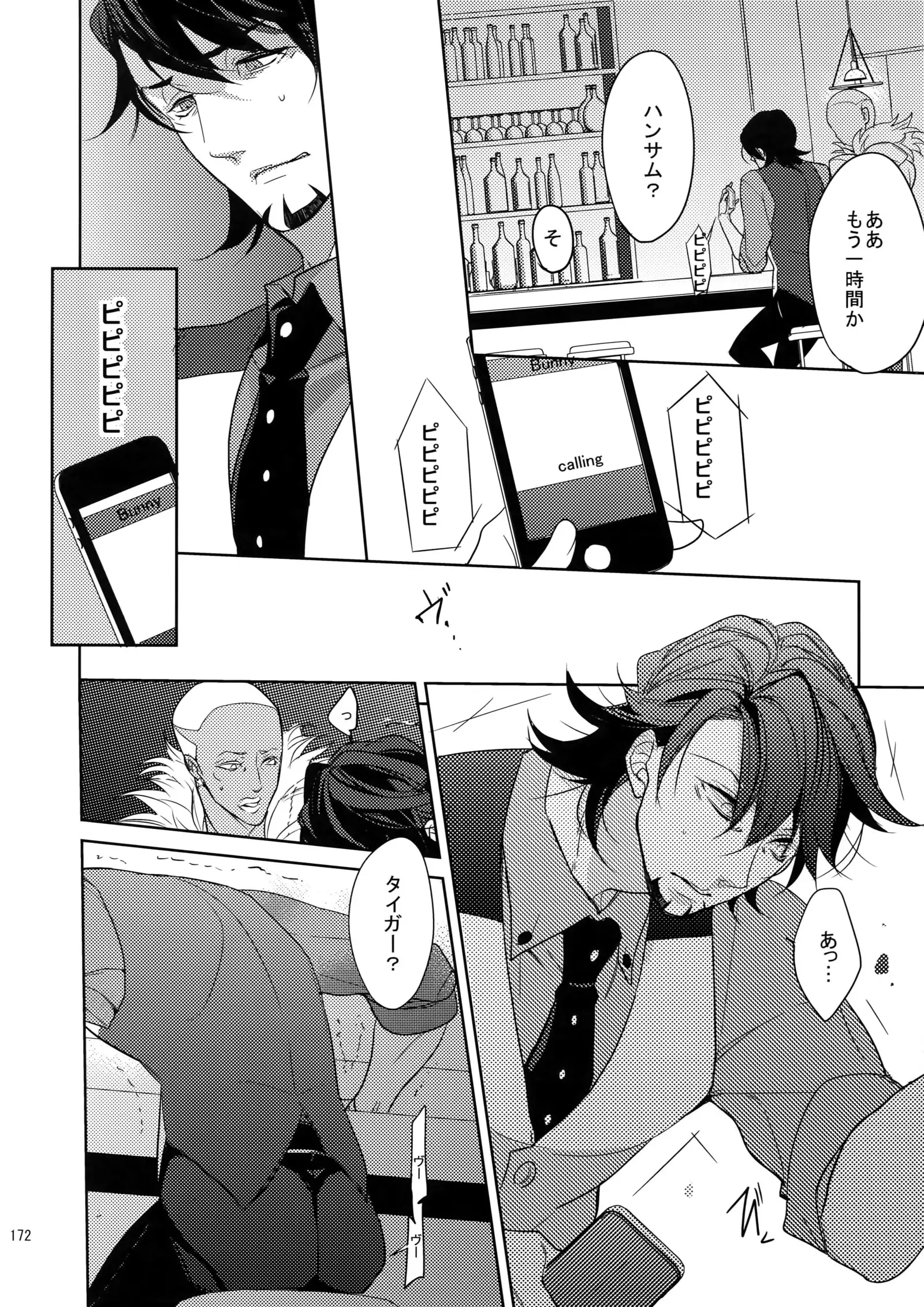 BOROZS Usagi Tora Sairoku