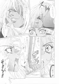 (C62) [Lover's (Inanaki Shiki)] a lonely angel's affection (Bastard!!)