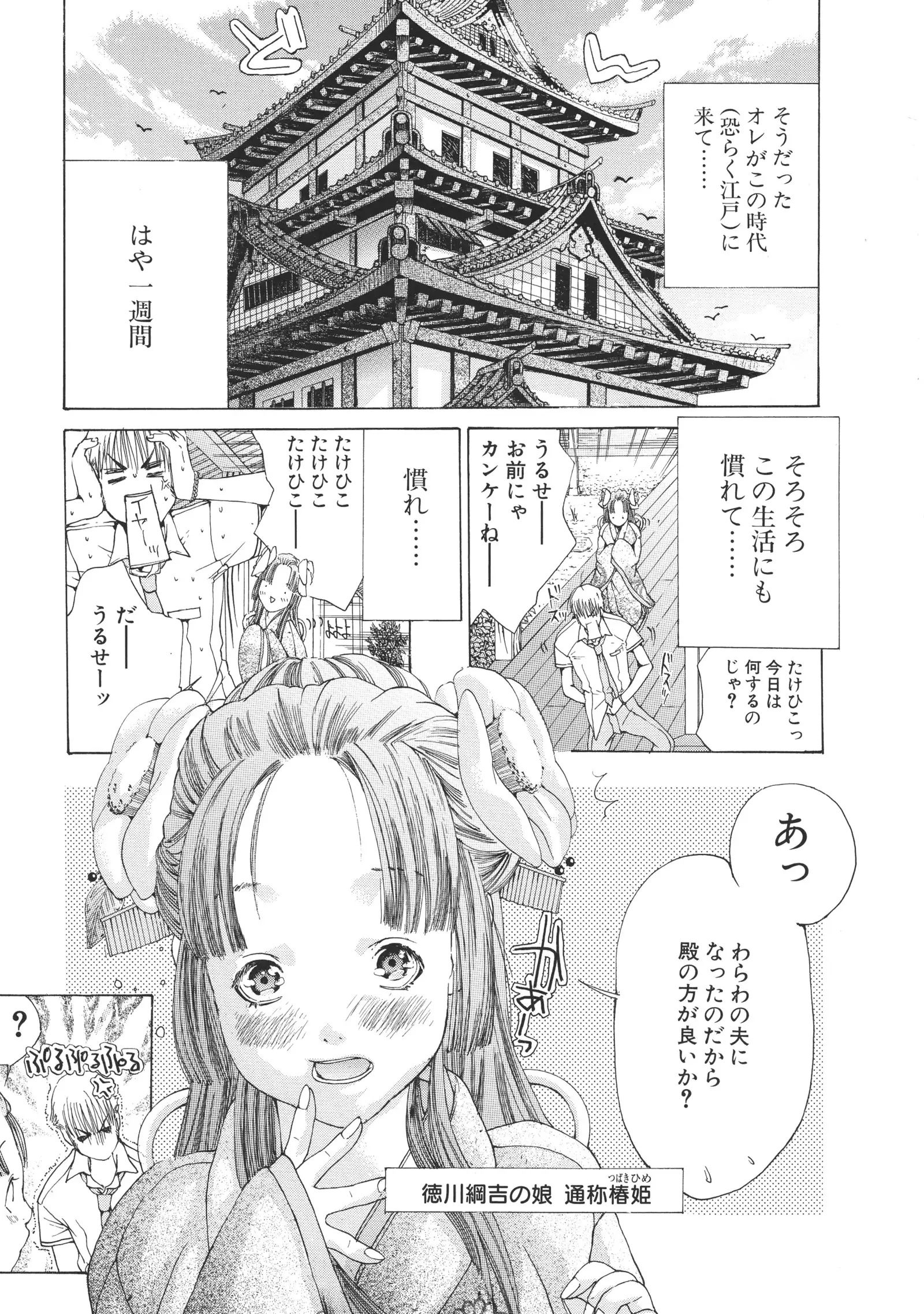 Miyazaki Maya Daizukan EX Deluxe Special