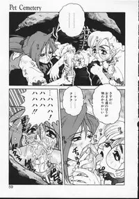 Masyumaro Jyubaori - Pet Cemetry (Viper V16)