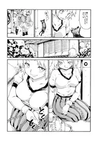 (C77) [Paranoia Cat (Fujiwara Shunichi)] Touhou Ukiyo Emaki "Onitaiji Nisemonogatari" (Touhou Project)