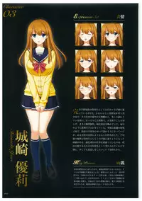 Seishojyo Visual Complete Book