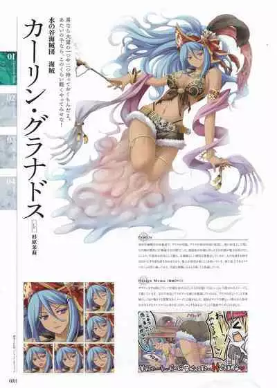 Sankai Ou no Yubiwa Perfect Guidebook