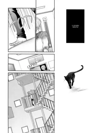 Kuroneko Kareshi no Asobikata