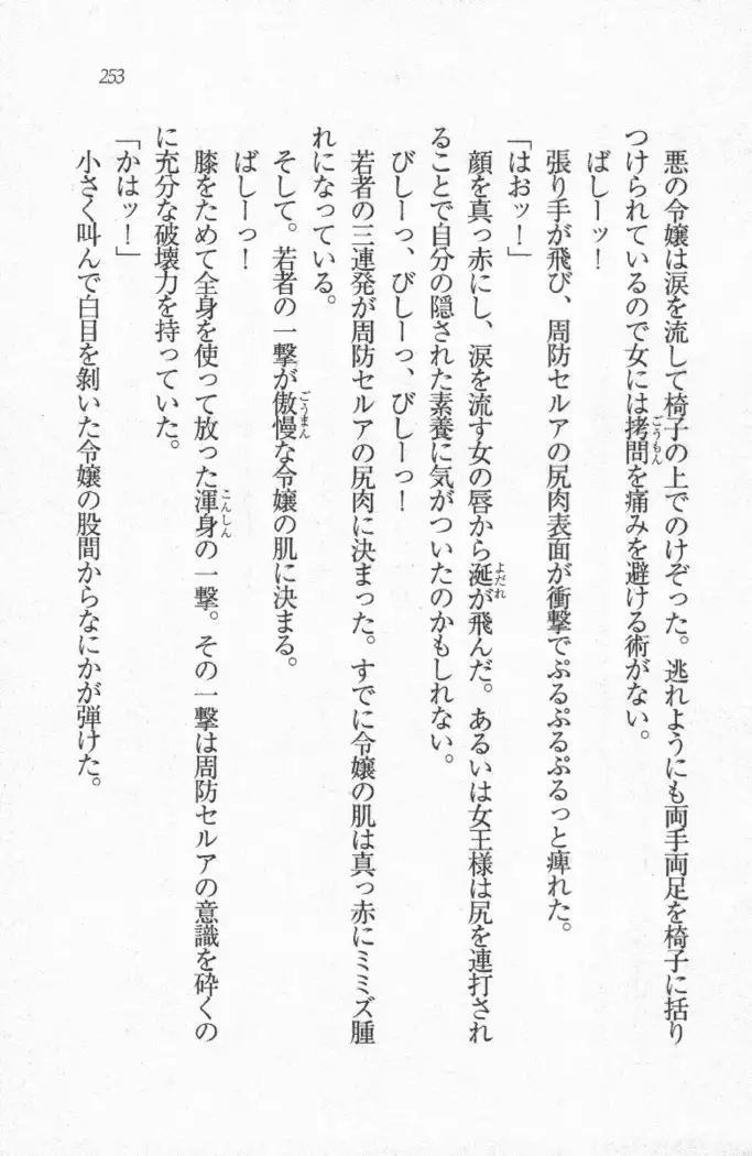 メイド喫茶　猫の隠れ家