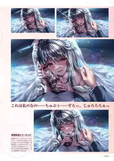 Amakano 2+ Visual Fan Book