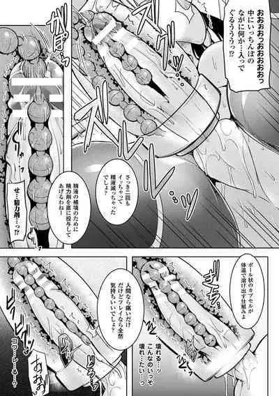 Ikusa Otome, Kyouraku ni Shizumiiku