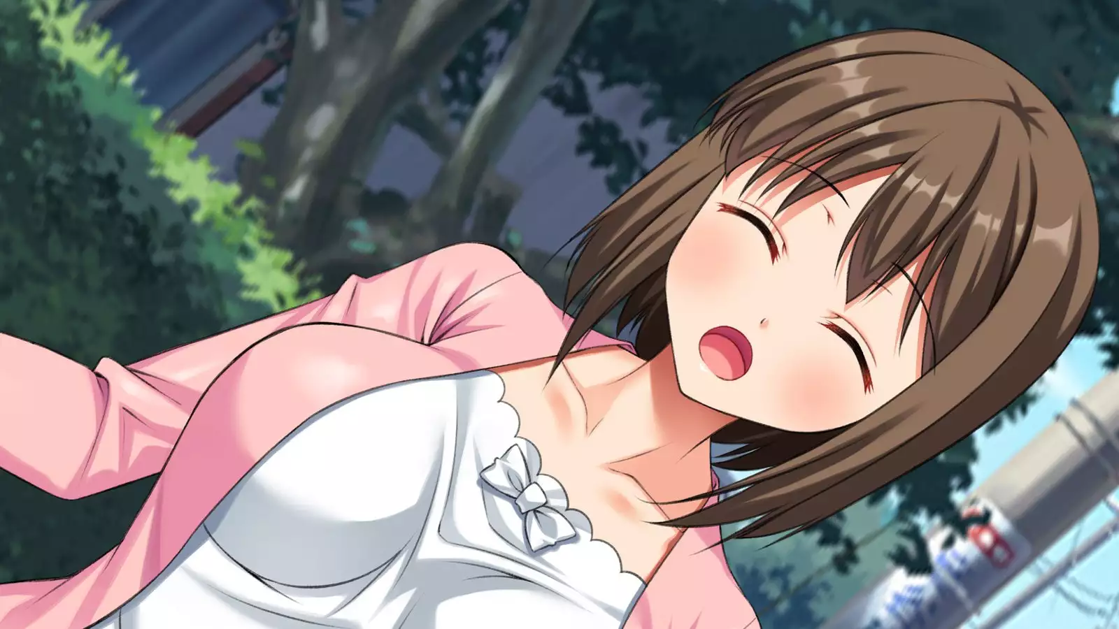 Otto wa Shiranai. Gitei to Watashi no Fushidara na Kankei o