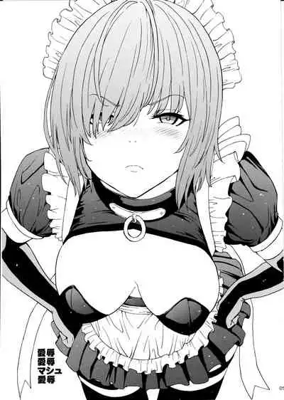 (C97) [Dairiseki (Hakaba)] Aijoku Aijoku Mash Aijoku (Fate/Grand Order)