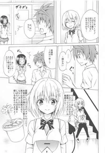 Mezase! Rakuen Keikaku