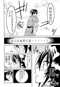 (C89) [Project Harakiri (Kaishaku)] Nisenisekoi 7 (Nisekoi)